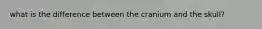 what is the difference between the cranium and the skull?
