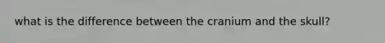 what is the difference between the cranium and the skull?