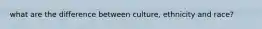 what are the difference between culture, ethnicity and race?