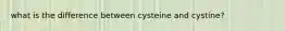 what is the difference between cysteine and cystine?