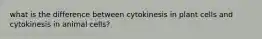 what is the difference between cytokinesis in plant cells and cytokinesis in animal cells?