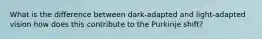 What is the difference between dark-adapted and light-adapted vision how does this contribute to the Purkinje shift?