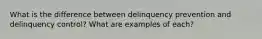 What is the difference between delinquency prevention and delinquency control? What are examples of each?