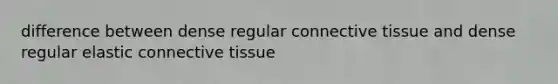 difference between dense regular connective tissue and dense regular elastic connective tissue