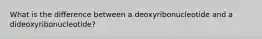 What is the difference between a deoxyribonucleotide and a dideoxyribonucleotide?