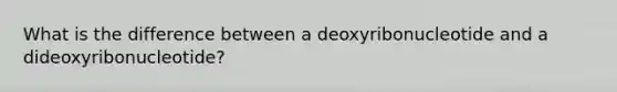 What is the difference between a deoxyribonucleotide and a dideoxyribonucleotide?