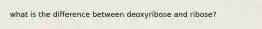 what is the difference between deoxyribose and ribose?