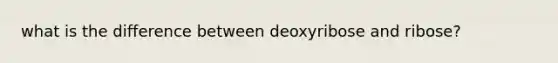 what is the difference between deoxyribose and ribose?