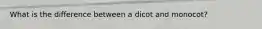 What is the difference between a dicot and monocot?