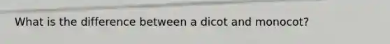 What is the difference between a dicot and monocot?
