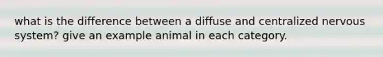 what is the difference between a diffuse and centralized nervous system? give an example animal in each category.