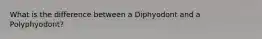 What is the difference between a Diphyodont and a Polyphyodont?