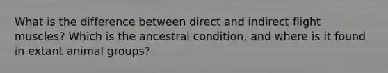 What is the difference between direct and indirect flight muscles? Which is the ancestral condition, and where is it found in extant animal groups?