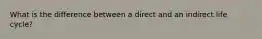 What is the difference between a direct and an indirect life cycle?