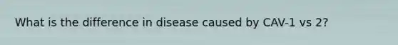 What is the difference in disease caused by CAV-1 vs 2?