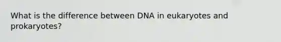 What is the difference between DNA in eukaryotes and prokaryotes?