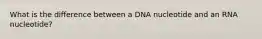 What is the difference between a DNA nucleotide and an RNA nucleotide?