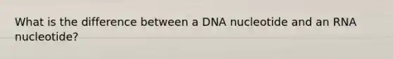 What is the difference between a DNA nucleotide and an RNA nucleotide?