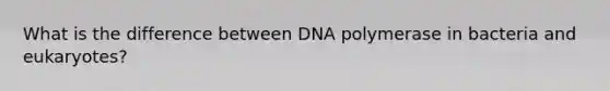 What is the difference between DNA polymerase in bacteria and eukaryotes?