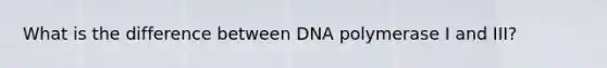 What is the difference between DNA polymerase I and III?