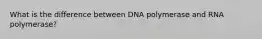 What is the difference between DNA polymerase and RNA polymerase?