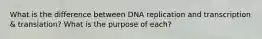 What is the difference between DNA replication and transcription & translation? What is the purpose of each?