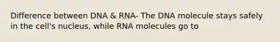 Difference between DNA & RNA- The DNA molecule stays safely in the cell's nucleus, while RNA molecules go to