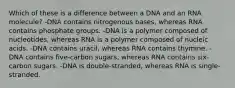 Which of these is a difference between a DNA and an RNA molecule? -DNA contains nitrogenous bases, whereas RNA contains phosphate groups. -DNA is a polymer composed of nucleotides, whereas RNA is a polymer composed of nucleic acids. -DNA contains uracil, whereas RNA contains thymine. -DNA contains five-carbon sugars, whereas RNA contains six-carbon sugars. -DNA is double-stranded, whereas RNA is single-stranded.