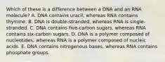 Which of these is a difference between a DNA and an RNA molecule? A. DNA contains uracil, whereas RNA contains thymine. B. DNA is double-stranded, whereas RNA is single-stranded. C. DNA contains five-carbon sugars, whereas RNA contains six-carbon sugars. D. DNA is a polymer composed of nucleotides, whereas RNA is a polymer composed of nucleic acids. E. DNA contains nitrogenous bases, whereas RNA contains phosphate groups.