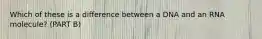 Which of these is a difference between a DNA and an RNA molecule? (PART B)