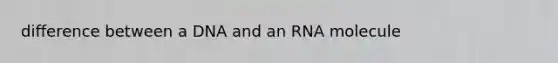 difference between a DNA and an RNA molecule