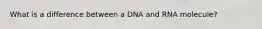 What is a difference between a DNA and RNA molecule?