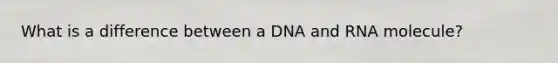 What is a difference between a DNA and RNA molecule?