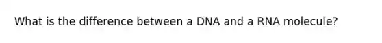 What is the difference between a DNA and a RNA molecule?