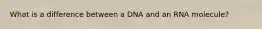 What is a difference between a DNA and an RNA molecule?