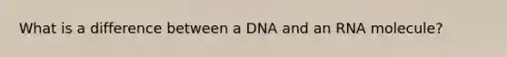 What is a difference between a DNA and an RNA molecule?