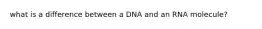 what is a difference between a DNA and an RNA molecule?