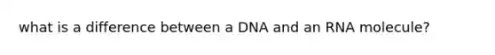 what is a difference between a DNA and an RNA molecule?