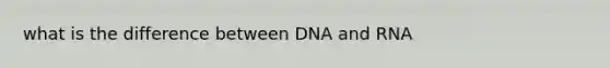 what is the difference between DNA and RNA