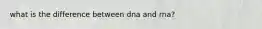 what is the difference between dna and rna?
