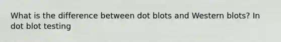 What is the difference between dot blots and Western blots? In dot blot testing