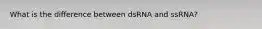 What is the difference between dsRNA and ssRNA?