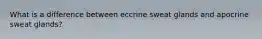 What is a difference between eccrine sweat glands and apocrine sweat glands?