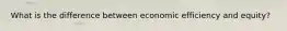 What is the difference between economic efficiency and equity?