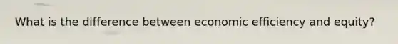 What is the difference between economic efficiency and equity?