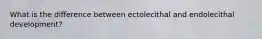 What is the difference between ectolecithal and endolecithal development?