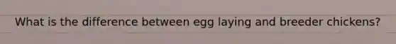 What is the difference between egg laying and breeder chickens?