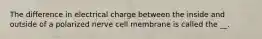 The difference in electrical charge between the inside and outside of a polarized nerve cell membrane is called the __.