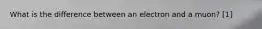 What is the difference between an electron and a muon? [1]