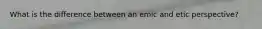 What is the difference between an emic and etic perspective?